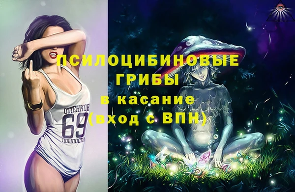 кокс Верея